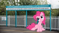 Size: 3861x2172 | Tagged: safe, pinkie pie, earth pony, pony, g4, female, high res, irl, llanfair­pwllgwyngyll­gogery­chwyrn­drobwll­llan­tysilio­gogo­goch, mare, photo, ponies in real life, solo, train station, united kingdom, wales, welsh