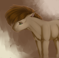 Size: 1868x1837 | Tagged: safe, artist:11-shadow, oc, oc only, pony, male, nudity, sheath, solo, stallion