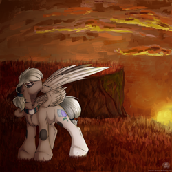 Size: 2000x2000 | Tagged: safe, artist:11-shadow, oc, oc only, pegasus, pony, chest fluff, high res, male, nudity, scenery, sheath, solo, stallion, sunset