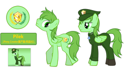 Size: 6536x3713 | Tagged: safe, artist:equestria secret guard, oc, oc only, oc:pilek, pegasus, pony, clothes, dog tags, male, pegasus oc, simple background, stallion, transparent background, uniform, wings