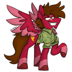 Size: 1500x1500 | Tagged: safe, artist:grandfinaleart, oc, oc only, oc:grand finale, pegasus, pony, brown eyes, brown hair, brown mane, brown tail, chest fluff, chin fluff, clothes, digital art, facial hair, goatee, hawaiian shirt, male, pegasus oc, red fur, shirt, simple background, sitting, smiling, solo, spread wings, stallion, stallion oc, tail, transparent background, unshorn fetlocks, wings