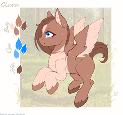 Size: 1831x1710 | Tagged: safe, artist:luciticio, oc, oc only, oc:clara, pegasus, pony, colored wings, cute, female, flying, forest, mare, pegasus oc, reference sheet, solo, two toned coat, two toned wings, wings