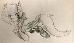 Size: 3394x1984 | Tagged: safe, artist:muffinz, oc, oc only, oc:lunar saintly, bat pony, bat pony oc, clothes, disguise, disguised changeling, female, flying, mare, monochrome, socks, solo, striped socks, traditional art