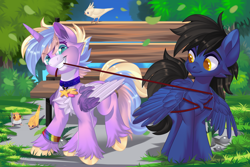 Size: 1920x1280 | Tagged: safe, artist:xvostik, oc, oc only, alicorn, bird, pegasus, pony, bench, cheek fluff, chest fluff, collar, commission, countershading, cute, duo, duo male and female, female, leash, leaves, male, mare, rope, smiling, stallion, tree, unshorn fetlocks, ych result