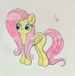 Size: 1453x1478 | Tagged: safe, artist:engi, fluttershy, pegasus, pony, g4, :c, cute, female, frown, mare, shyabetes, simple background, solo, traditional art, watercolor painting