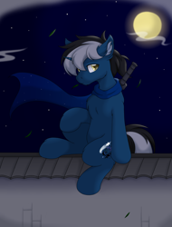 Size: 2566x3374 | Tagged: artist needed, safe, oc, oc only, oc:dark galaxy, pony, unicorn, braid, chest fluff, clothes, featureless crotch, high res, horn, leg fluff, looking at you, male, moon, night, scarf, sitting, solo, stallion, sword, unicorn oc, weapon, wind