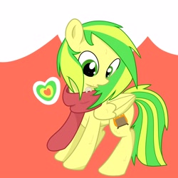 Size: 4000x4000 | Tagged: safe, artist:fuzzycyclone, oc, oc:wooden toaster, pegasus, pony, clothes, green eyes, scarf, solo