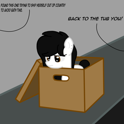 Size: 3000x3000 | Tagged: safe, artist:bright skie, oc, oc only, oc:bright skie, pony, black mane, box, high res, offscreen character, pony in a box, small, smol, solo