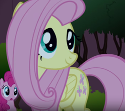 Size: 450x397 | Tagged: safe, fluttershy, pinkie pie, earth pony, pegasus, pony, friendship is magic, g4, season 1, cute, female, mare, pink mane, shyabetes