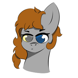 Size: 5000x5000 | Tagged: safe, artist:houndy, oc, oc only, oc:noxi, earth pony, pony, bust, earth pony oc, heterochromia, long hair, long mane, male, simple background, solo, transparent background