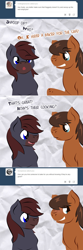 Size: 720x2178 | Tagged: safe, artist:dougboard, oc, oc:dusty (jitterbug-cafe), oc:raggedy, pegasus, pony, tumblr:jitterbug cafe, male, stallion