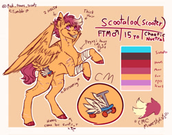 Size: 2048x1606 | Tagged: safe, alternate version, artist:ask-trans-scoots, scootaloo, pegasus, pony, g4, alternate cutie mark, bandage, dyed mane, ear piercing, english, male, piercing, reference sheet, scar, scooteroll, self harm, self harm scars, smiling, solo, standing on two hooves, teenager, trans male, transgender, tumblr:ask trans scootaloo, wings