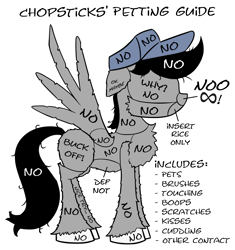 Size: 1850x1967 | Tagged: safe, artist:chopsticks, oc, oc only, oc:chopsticks, pegasus, pony, anatomy guide, butt fluff, cheek fluff, chest fluff, cuddling, hat, infinity, male, no, non-consensual booping, non-consensual cuddling, petting, petting guide, shoulder fluff, silhouette, simple background, solo, spread wings, stallion, standing, text, unshorn fetlocks, white background, wings