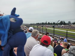 Size: 4032x3024 | Tagged: safe, artist:bitgamer, princess luna, alicorn, human, g4, fence, food, grass, hat, indianapolis 500, indycar, irl, irl human, photo, plushie, ponies around the world, road