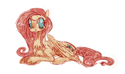 Size: 812x482 | Tagged: safe, artist:burgeredagent, fluttershy, pegasus, pony, g4, colored sketch, folded wings, simple background, sketch, solo, white background, wide eyes, wings