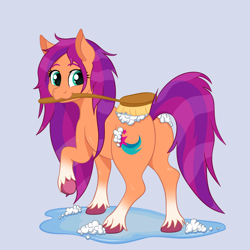 Size: 3000x3000 | Tagged: safe, alternate version, artist:szafir87, sunny starscout, earth pony, pony, g5, :3, bathing, brush, coat markings, cute, female, high res, mare, mouth hold, raised hoof, simple background, socks (coat markings), solo, sunnybetes, unshorn fetlocks, wet