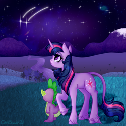 Size: 2500x2500 | Tagged: safe, artist:cakeshake22, spike, twilight sparkle, dragon, pony, unicorn, g4, duo, female, high res, leonine tail, male, night, shooting star, stargazing, tail, unicorn twilight, unshorn fetlocks