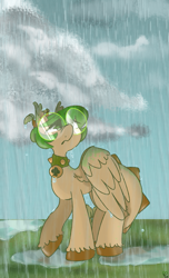 Size: 929x1533 | Tagged: safe, artist:pagophasia, derpibooru exclusive, oc, oc only, oc:hortis culture, hybrid, pony, cloud, collar, colored hooves, ear tufts, glasses, grass, horns, leaf, looking up, nonbinary, open mouth, outdoors, puddle, rain, reflection, ripple, round glasses, short hair, solo, standing, unshorn fetlocks, wet, wet mane, wings