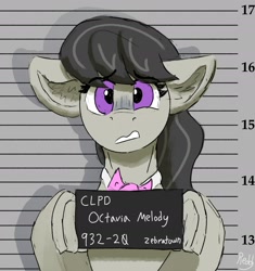 Size: 2010x2136 | Tagged: safe, artist:reddthebat, octavia melody, earth pony, pony, g4, barbie, barbie (film), barbie mugshot meme, bowtie, female, floppy ears, high res, hoof hold, looking at you, mare, meme, mugshot, octavia's bowtie, solo