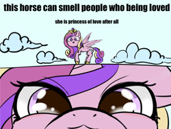 Size: 1400x1050 | Tagged: safe, artist:abracadabra, princess cadance, alicorn, pony, g4, 2 panel comic, close-up, cloud, comic, concave belly, crown, eye clipping through hair, eyebrows, eyebrows visible through hair, female, hoof shoes, jewelry, looking at you, mare, meme, partially open wings, peytral, princess of love, regalia, slender, snoot, solo, spread wings, thin, wings