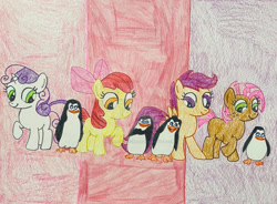 Size: 1280x940 | Tagged: safe, artist:justinvaldecanas, apple bloom, babs seed, scootaloo, sweetie belle, bird, earth pony, pegasus, penguin, pony, unicorn, g4, crossover, cutie mark crusaders, dreamworks, kowalski, madagascar (dreamworks), private (madagascar), rico, skipper, the penguins of madagascar, traditional art, wholesome