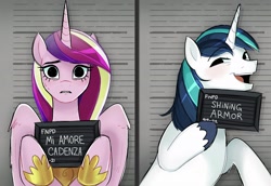 Size: 2987x2052 | Tagged: safe, artist:syrupyyy, princess cadance, shining armor, alicorn, pony, unicorn, g4, barbie, barbie (film), barbie mugshot meme, duo, female, frown, high res, hoof hold, looking at you, male, mare, meme, mugshot, narrowed eyes, open mouth, open smile, smiling, smiling at you, stallion, sweat