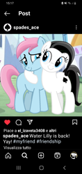 Size: 720x1520 | Tagged: safe, artist:tankman, oc, oc only, oc:spades ace, oc:water lilly, earth pony, pony, black mane, black tail, blue body, blue eyes, blue skin, description, duo, duo female, female, happy, instagram, light skin, pink mane, pink tail, profile, smiling, tail, white body