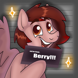 Size: 1920x1920 | Tagged: safe, artist:erichkaofficial, oc, oc only, oc:berry, pegasus, pony, barbie, barbie (film), barbie mugshot meme, meme, mugshot, solo