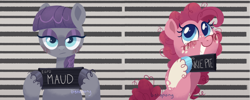 Size: 1920x769 | Tagged: safe, artist:bishopony, maud pie, pinkie pie, earth pony, pony, g4, barbie, barbie (film), barbie mugshot meme, duo, meme, mugshot