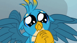Size: 800x450 | Tagged: safe, screencap, gallus, griffon, g4, school daze, season 8, animated, close-up, cute, daaaaaaaaaaaw, dilated pupils, eye shimmer, friendship student, frown, gallabetes, gif, hands together, hnnng, male, pleading, please, puppy dog eyes, puppy-eyed gallus, sad, sadorable, solo, spread wings, weapons-grade cute, wings