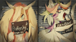 Size: 1908x1066 | Tagged: safe, artist:iheyyasyfox, fluttershy, rainbow dash, pegasus, pony, g4, barbie, barbie (film), barbie mugshot meme, hair over one eye, looking at you, meme, mugshot, open mouth, open smile, smiling