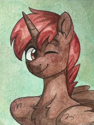 Size: 2343x3105 | Tagged: safe, artist:skysorbett, oc, oc:hardy, alicorn, pony, bust, chest fluff, ear fluff, high res, looking at you, male, one eye closed, portrait, smiling, smiling at you, solo, stallion, traditional art, wink, winking at you