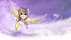 Size: 2873x1642 | Tagged: safe, artist:breakdream, rainbow dash, oc, pegasus, pony, clothes, cloud, duo, female, flying, grin, mare, pegasus oc, scarf, sky, smiling, solo focus, spread wings, wings