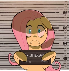 Size: 1461x1500 | Tagged: safe, artist:naquelinedelch2, fluttershy, pegasus, pony, g4, :c, barbie, barbie (film), barbie mugshot meme, female, floppy ears, frown, hoof hold, looking at you, mare, meme, mugshot, sad, solo