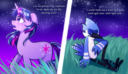 Size: 2000x1152 | Tagged: safe, artist:annazeee, twilight sparkle, bird, blue jay, pony, unicorn, g4, aeroplanes and meteor showers, airplanes (song), crossover, crossover shipping, crying, duo, duo male and female, female, lyrics, male, mare, meme, mordecai, mordetwi, regular show, shipping, straight, text, unicorn twilight