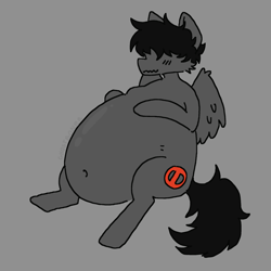 Size: 2048x2048 | Tagged: safe, artist:ghostboner, oc, pegasus, pony, belly, big belly, commission, covered eyes, high res, inflation, male, male pregnancy, pregnant, solo, vore