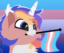 Size: 1800x1500 | Tagged: safe, artist:starcasteclipse, oc, oc only, pony, unicorn, commission, cute, eyes open, flag, horn, mouth hold, pride, pride flag, pride month, signature, solo, transgender pride flag, ych result