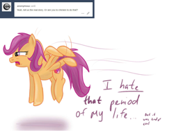 Size: 1080x817 | Tagged: safe, artist:redheadfly, scootaloo, pony, tumblr:ask-adultscootaloo, g4, older, solo