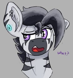 Size: 644x687 | Tagged: safe, artist:reddthebat, oc, oc only, oc:zerø, zebra, bust, confused, ear fluff, ear piercing, earring, eyebrows, gray background, jewelry, male, open mouth, piercing, raised eyebrow, simple background, solo, stallion, sternocleidomastoid, zebra oc