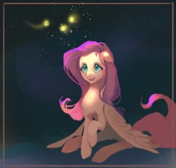 Size: 2000x1902 | Tagged: safe, artist:lady_tenebra, fluttershy, firefly (insect), insect, pegasus, pony, g4, female, frame, sitting, solo, stars