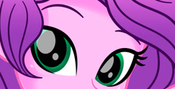 Size: 905x465 | Tagged: safe, artist:charliexe, pipp petals, human, equestria girls, g4, g5, adorapipp, close-up, cropped, cute, equestria girls-ified, extreme close-up, female, g5 to equestria girls, g5 to g4, generation leap, solo, wip