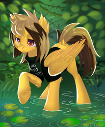 Size: 2800x3400 | Tagged: safe, artist:xvostik, pegasus, pony, alex gaskarth, all time low, clothes, commission, dyed mane, dyed tail, ear fluff, folded wings, high res, hoof fluff, lilypad, male, outdoors, pond, ponified, raised hoof, shirt, solo, stallion, standing, t-shirt, tail, tail feathers, water, wings, ych result