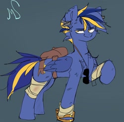Size: 1965x1932 | Tagged: safe, artist:madiwann, oc, oc only, oc:shining trophy, pegasus, pony, fallout equestria, bandage, blue mane, concave belly, male, post-apocalyptic, raised hoof, stallion, sunglasses, wings