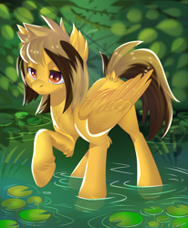 Size: 2800x3400 | Tagged: safe, alternate version, artist:xvostik, pegasus, pony, alex gaskarth, all time low, commission, dyed mane, dyed tail, ear fluff, folded wings, high res, hoof fluff, lilypad, male, outdoors, pond, ponified, raised hoof, solo, stallion, standing, tail, tail feathers, water, wings, ych result