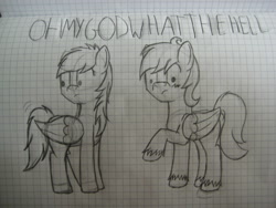 Size: 1280x960 | Tagged: safe, artist:ask-fleetfoot, oc, oc only, pegasus, pony, duo, graph paper, monochrome, traditional art