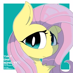 Size: 2048x2048 | Tagged: safe, artist:greyofurnama, fluttershy, pegasus, pony, g4, bust, chest fluff, female, high res, solo