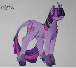Size: 944x855 | Tagged: safe, artist:hederacea, twilight sparkle, pony, unicorn, g4, chest fluff, curved horn, hair over eyes, horn, solo, traditional art, unicorn twilight