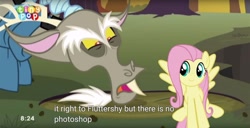 Size: 1024x525 | Tagged: safe, edit, edited screencap, screencap, discord, fluttershy, draconequus, pegasus, pony, g4, season 6, to where and back again, caption, cute, discord is not amused, duo, duo male and female, female, frown, male, mare, meme, open mouth, photoshop, shyabetes, sitting, smiling, spread wings, subtitles, unamused, wings, youtube caption