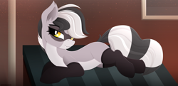 Size: 3362x1621 | Tagged: safe, artist:andaluce, oc, oc only, oc:bandy cyoot, hybrid, pony, raccoon, raccoon pony, clothes, cute, cute little fangs, draw me like one of your french girls, fangs, female, lineless, lying down, ocbetes, prone, short hair, socks, solo