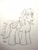 Size: 2424x3232 | Tagged: safe, artist:twiny dust, derpibooru exclusive, oc, oc:eclipse, pegasus, pony, female, high res, mare, pencil drawing, solo, traditional art